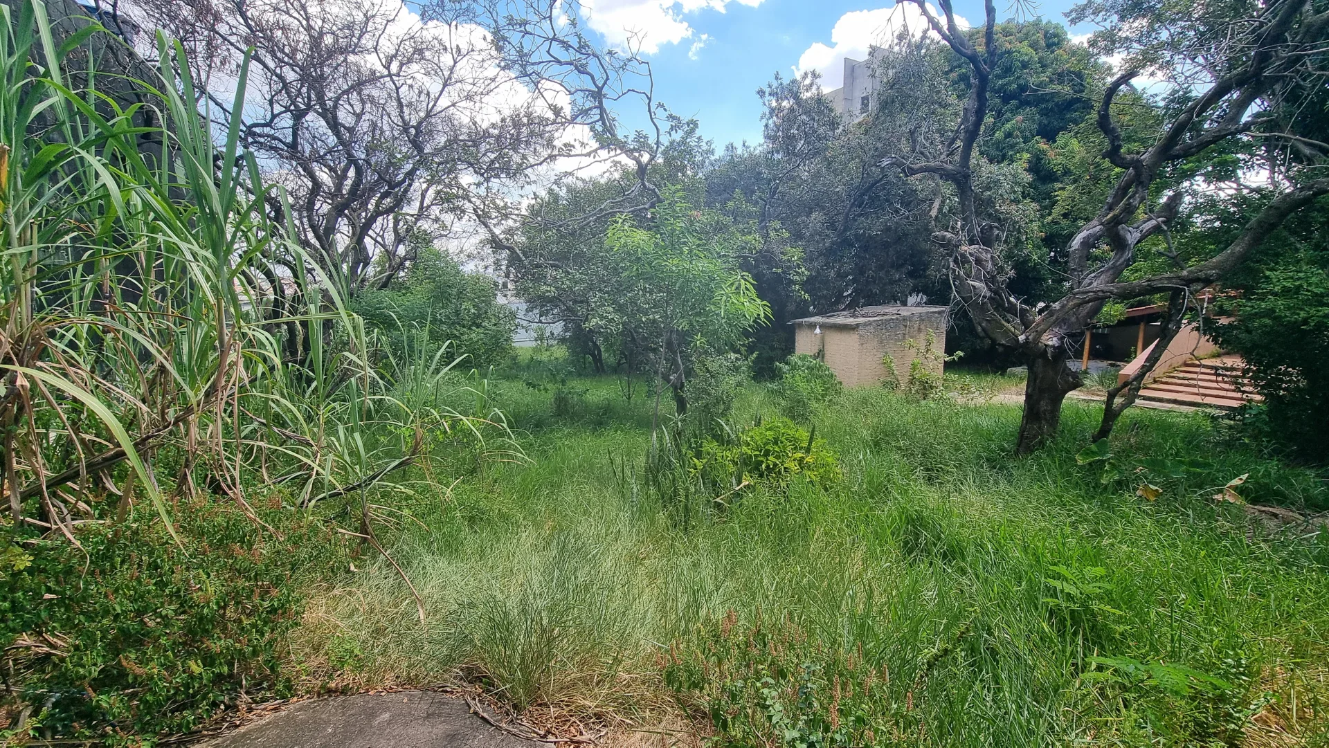 Terreno Comercial/Industrial 2.128m² – Ao Lado da DB Diagnósticos em Sorocaba/SP